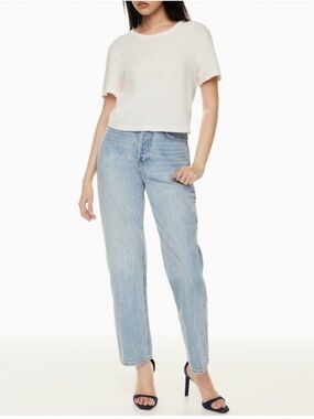 Aritzia Denim Forum The Joni High Rise Loose Jeans 29L 28